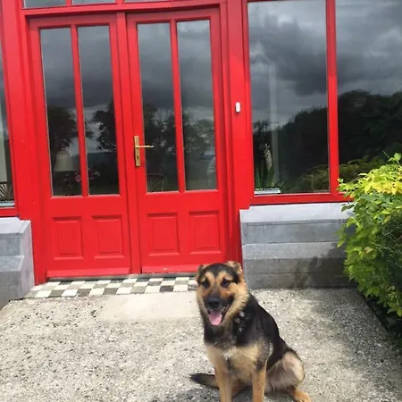 Pensión Glenduff Manor 4*
