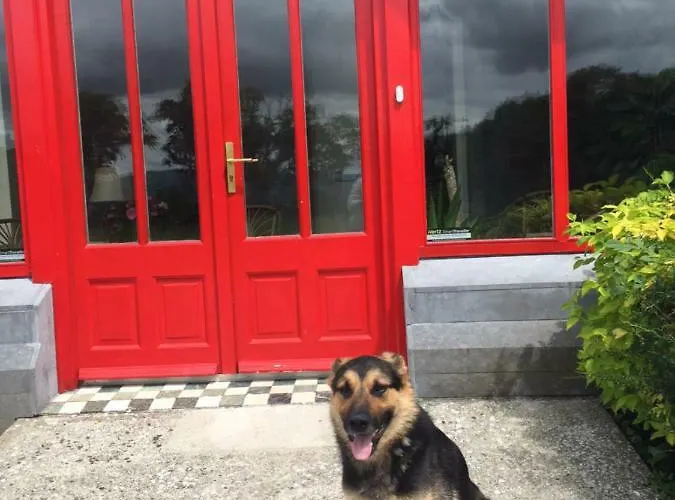 Guest house Glenduff Manor 4*